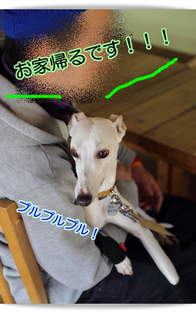 e0100007_8484949.jpg
