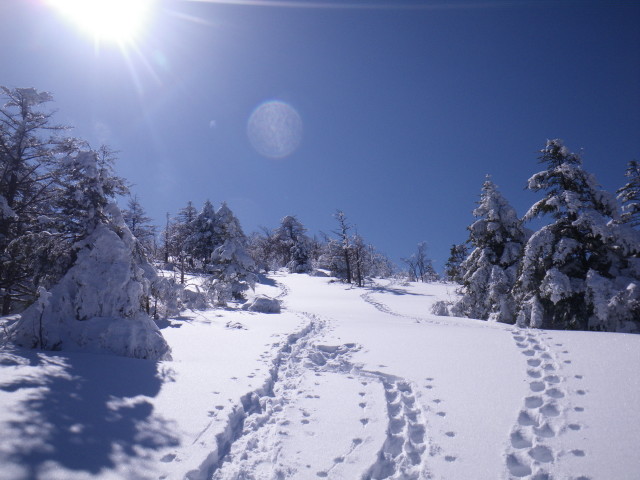 d0006512_22402878.jpg