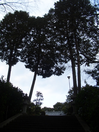 e0033713_17565269.jpg