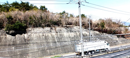 e0125014_1354970.jpg