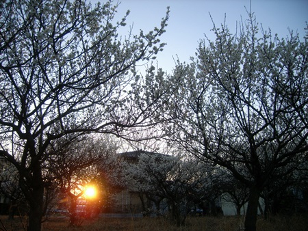 b0312424_18311081.jpg