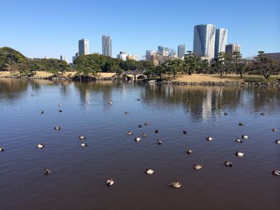 e0300027_22561757.jpg
