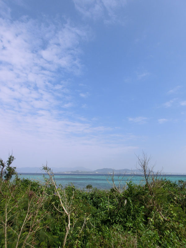 a0126632_1812329.jpg