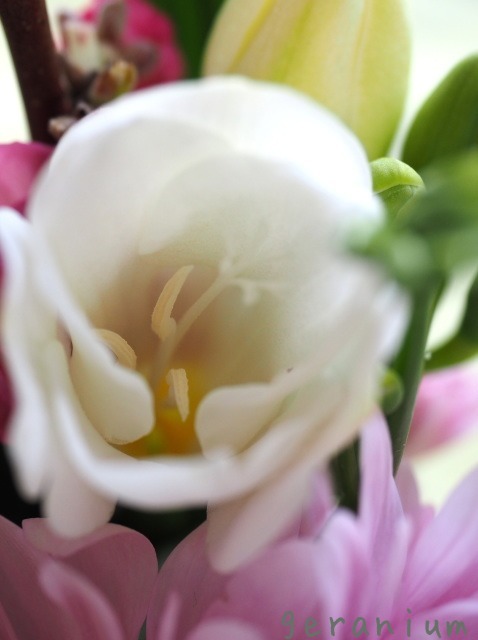 c0133533_00395855.jpg