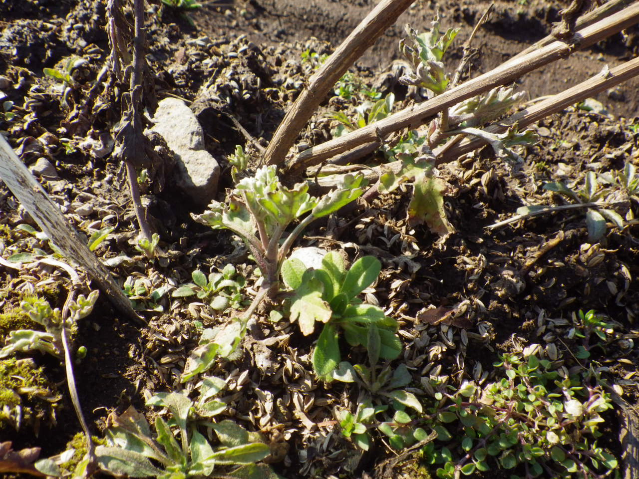 c0300035_16223613.jpg
