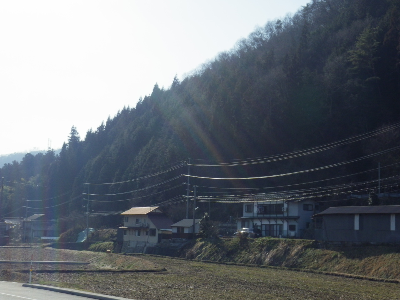 c0300035_16391267.jpg