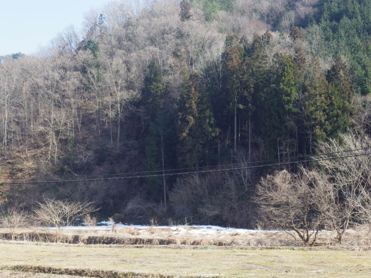 c0300035_16434947.jpg
