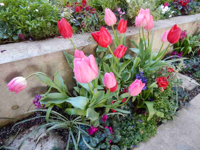 f0031546_2310145.jpg