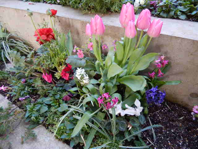 f0031546_23102488.jpg