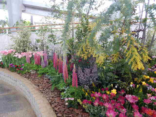 f0031546_23113754.jpg