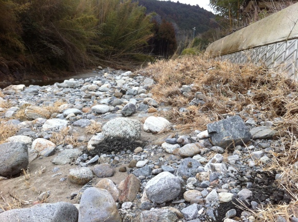 c0312349_12561095.jpg
