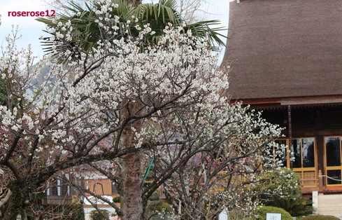 a0249051_13124669.jpg