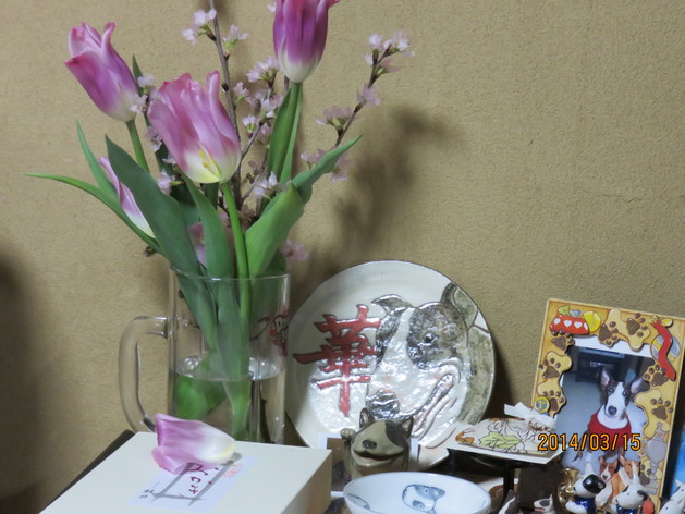 c0073152_21475045.jpg