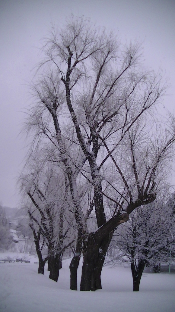 a0193457_181101.jpg