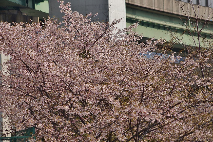 b0063958_1848060.jpg