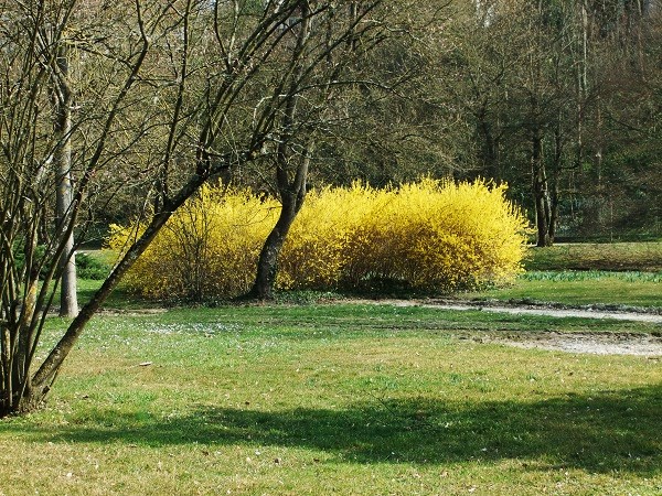 f0097363_18515273.jpg