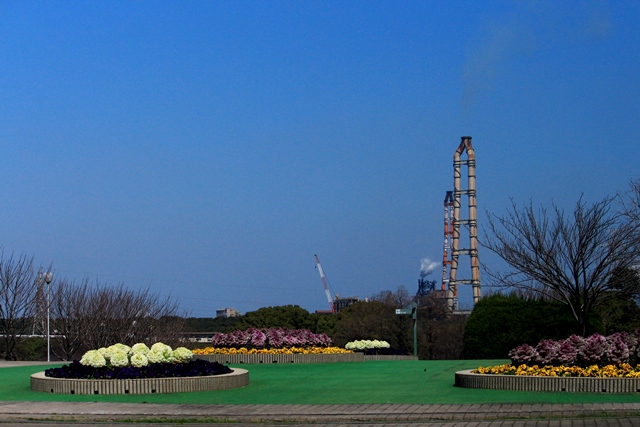 d0126577_2055415.jpg