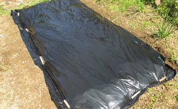 f0003283_15051269.jpg