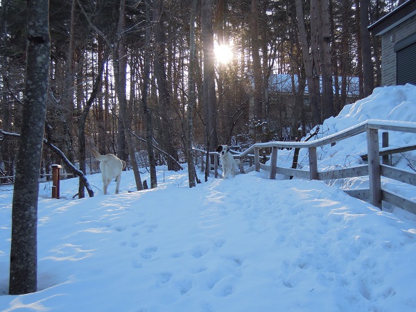 f0045283_10271825.jpg
