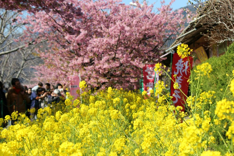 a0127090_23372494.jpg