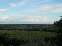 b0015290_15135179.jpg