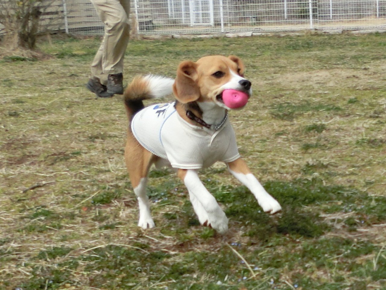 a0319693_17474847.jpg