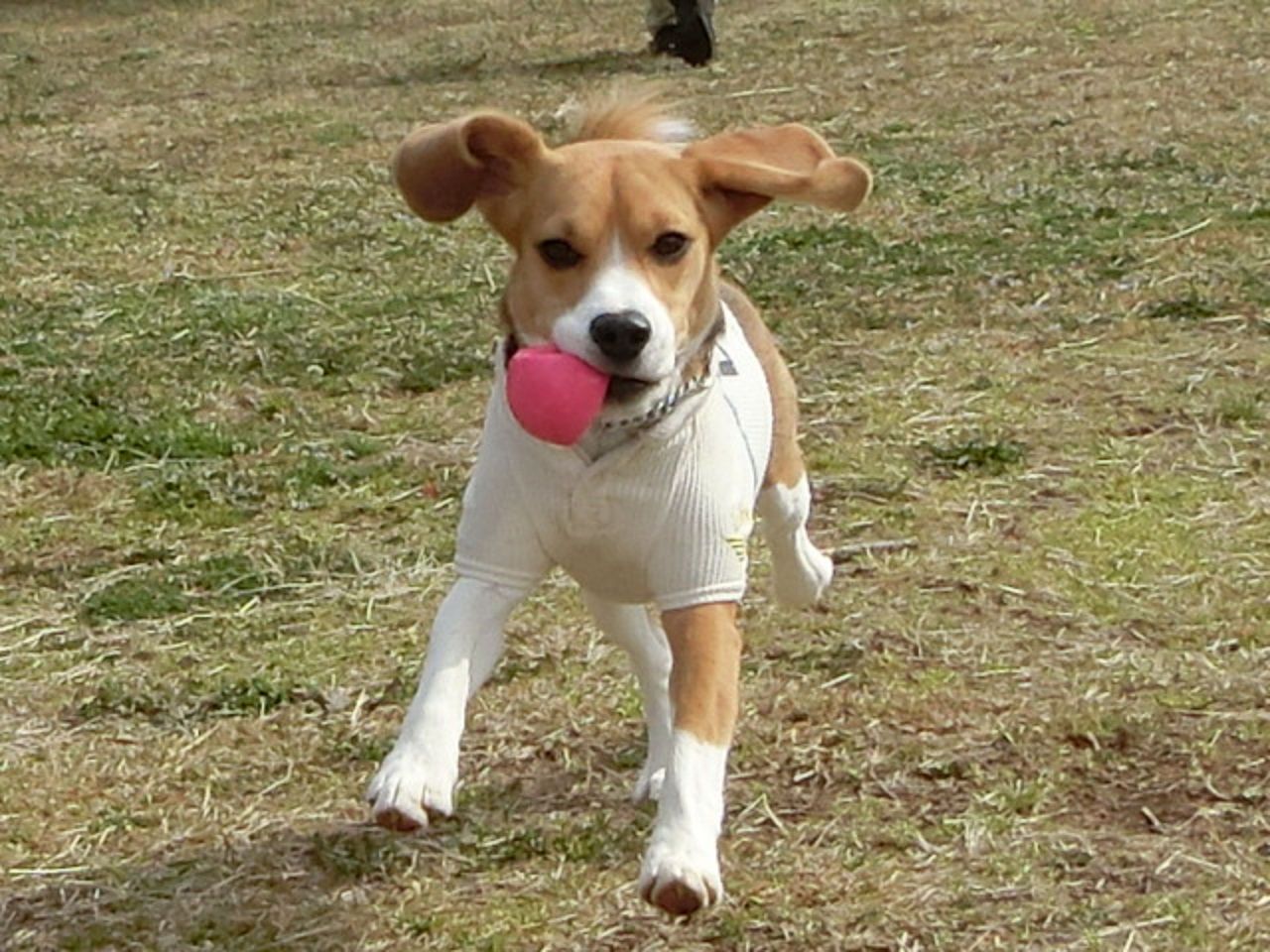 a0319693_17512919.jpg