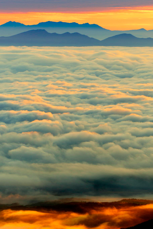 c0072801_21383672.jpg