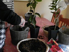 c0152002_18505553.jpg