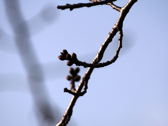 c0187503_20435035.jpg