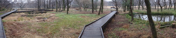 f0302208_13319.jpg