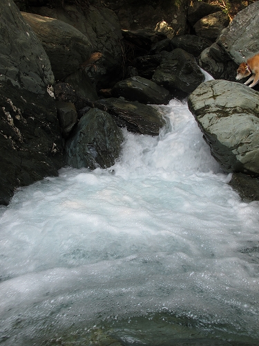 b0225620_23544512.jpg