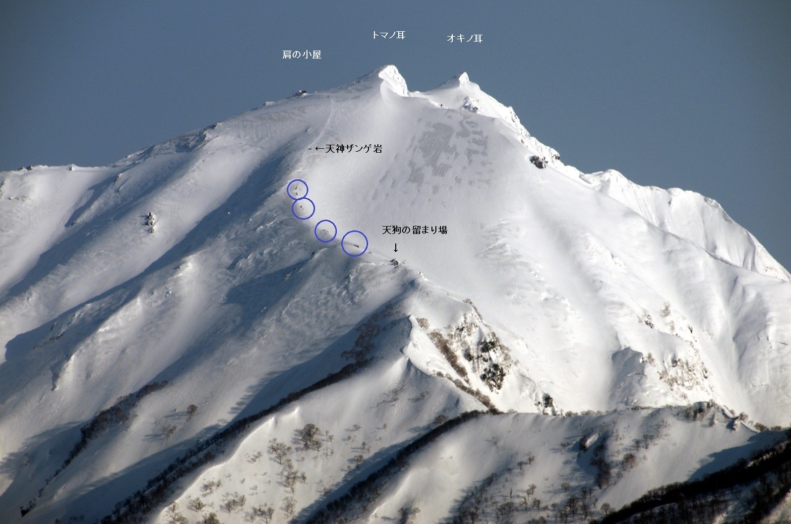 b0062024_8175516.jpg