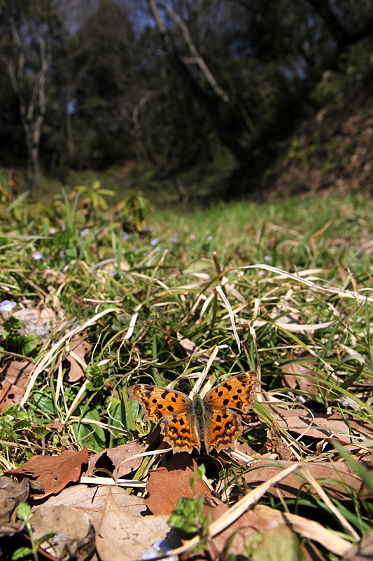 d0054625_2151081.jpg