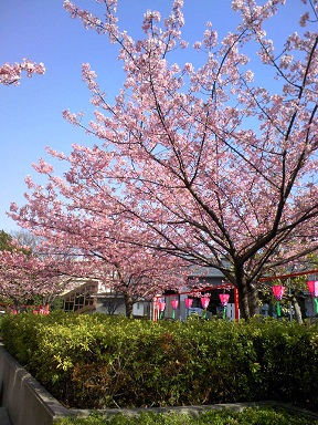 f0034334_2019917.jpg