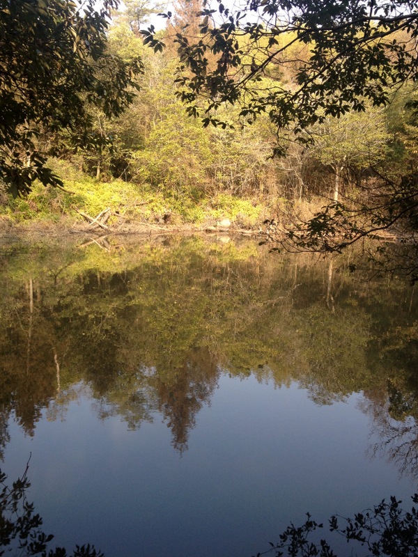 b0057140_20364143.jpg
