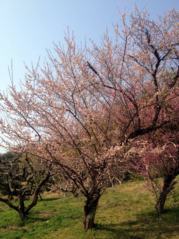 b0057140_20382179.jpg