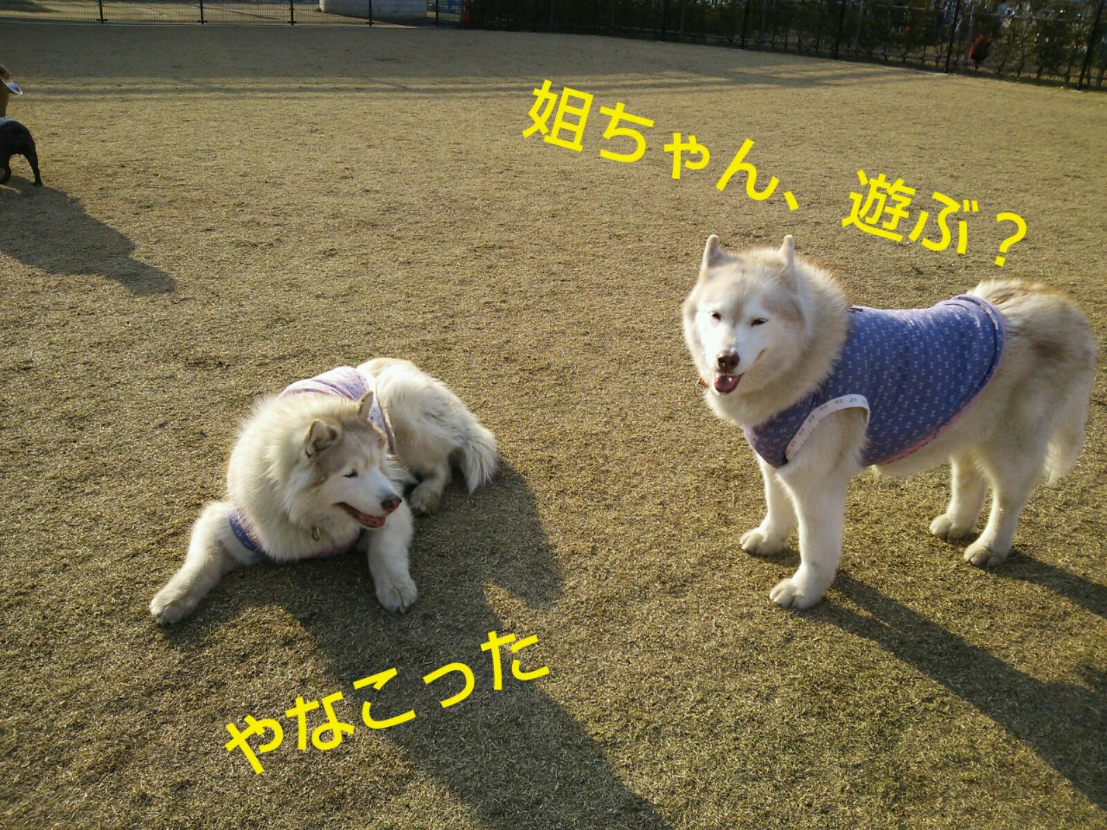 e0121548_1949567.jpg