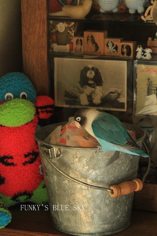 c0145250_20115882.jpg