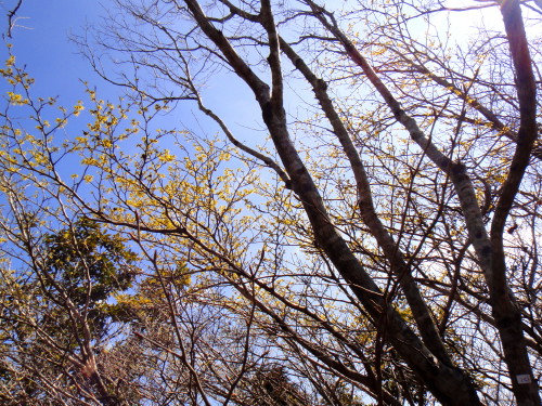 c0179351_2053768.jpg