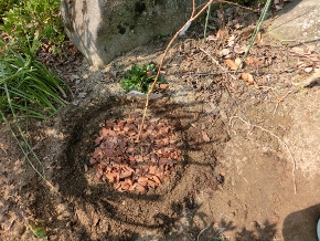 c0328559_16463846.jpg