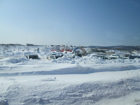 d0029363_1634161.jpg