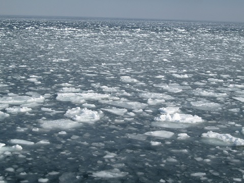 d0029363_16355045.jpg