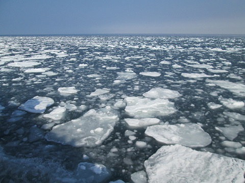 d0029363_16361465.jpg