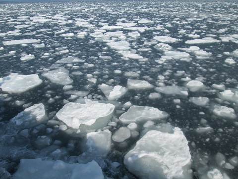 d0029363_16362451.jpg