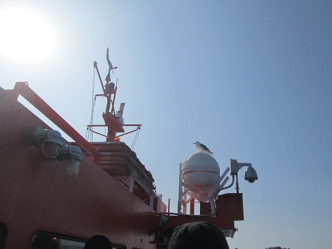 d0029363_16363252.jpg