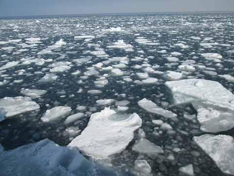 d0029363_16365920.jpg