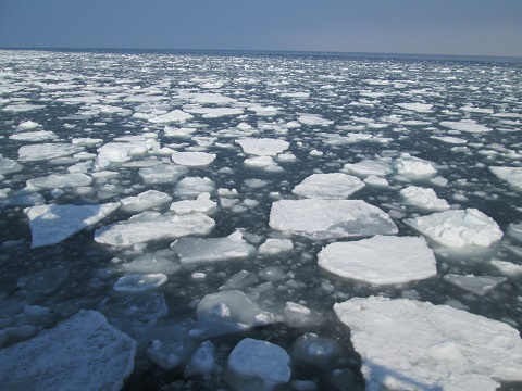d0029363_1637818.jpg