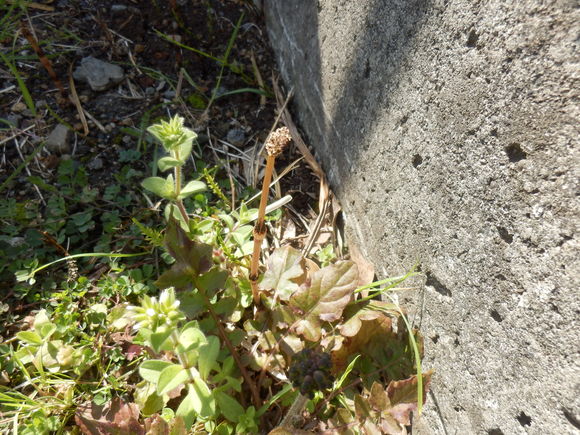 e0292172_20384739.jpg
