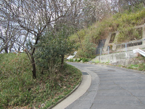 a0251786_16222622.jpg